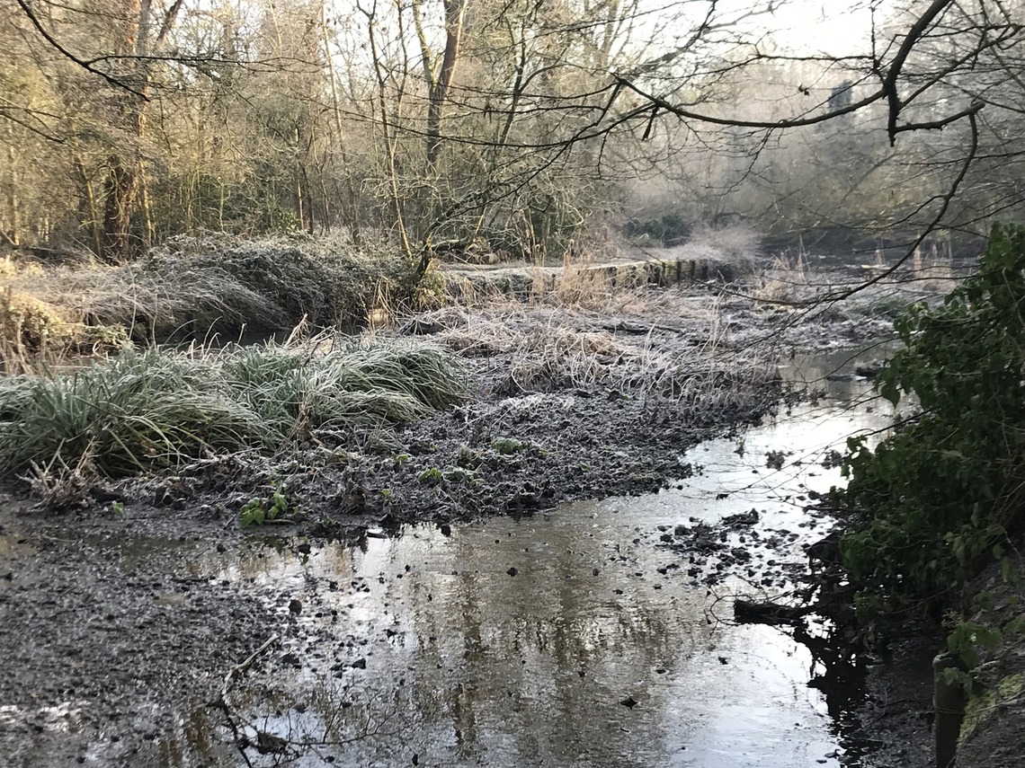 Frosty Crane morning